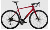 TREK Domane AL 2 Gen 4 
